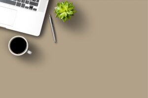 3527 Ginger Root SUEDE SUD 3