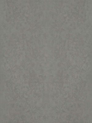 261 Dark Grey Stucco STC