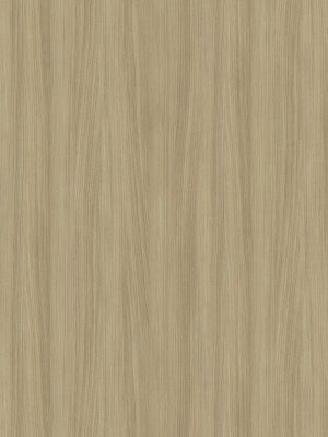 3256 Barista Oak (CFD)