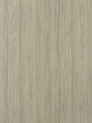 3331 Virgin Elm CHISELED WOOD CHW