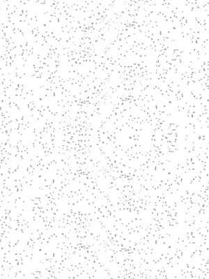 3503 Orion Pearl White NOVOL GLOSS NGL