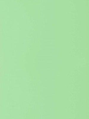 3598 Rosemary GROOVE GRV