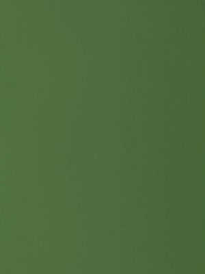 3599 Cyprus SUEDE SUD