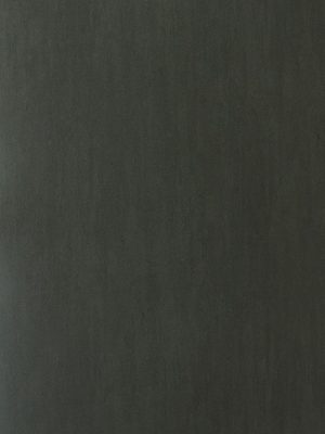 3794 Concrete Raven SOFT BUFF SBF