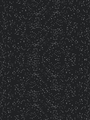 63646 Orion Black (NGL)