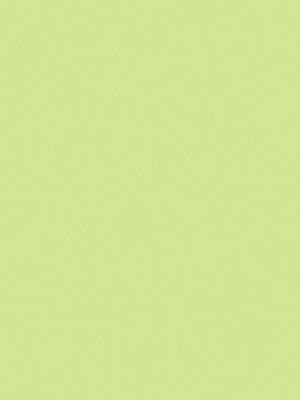 Greenlam_Solids_257-olive