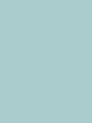 Greenlam_Solids_273-sky-grey