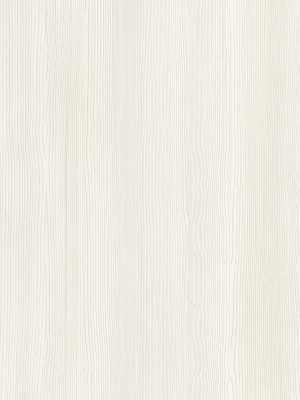 Greenlam_Woodgrains_5339-bristlecone-pine